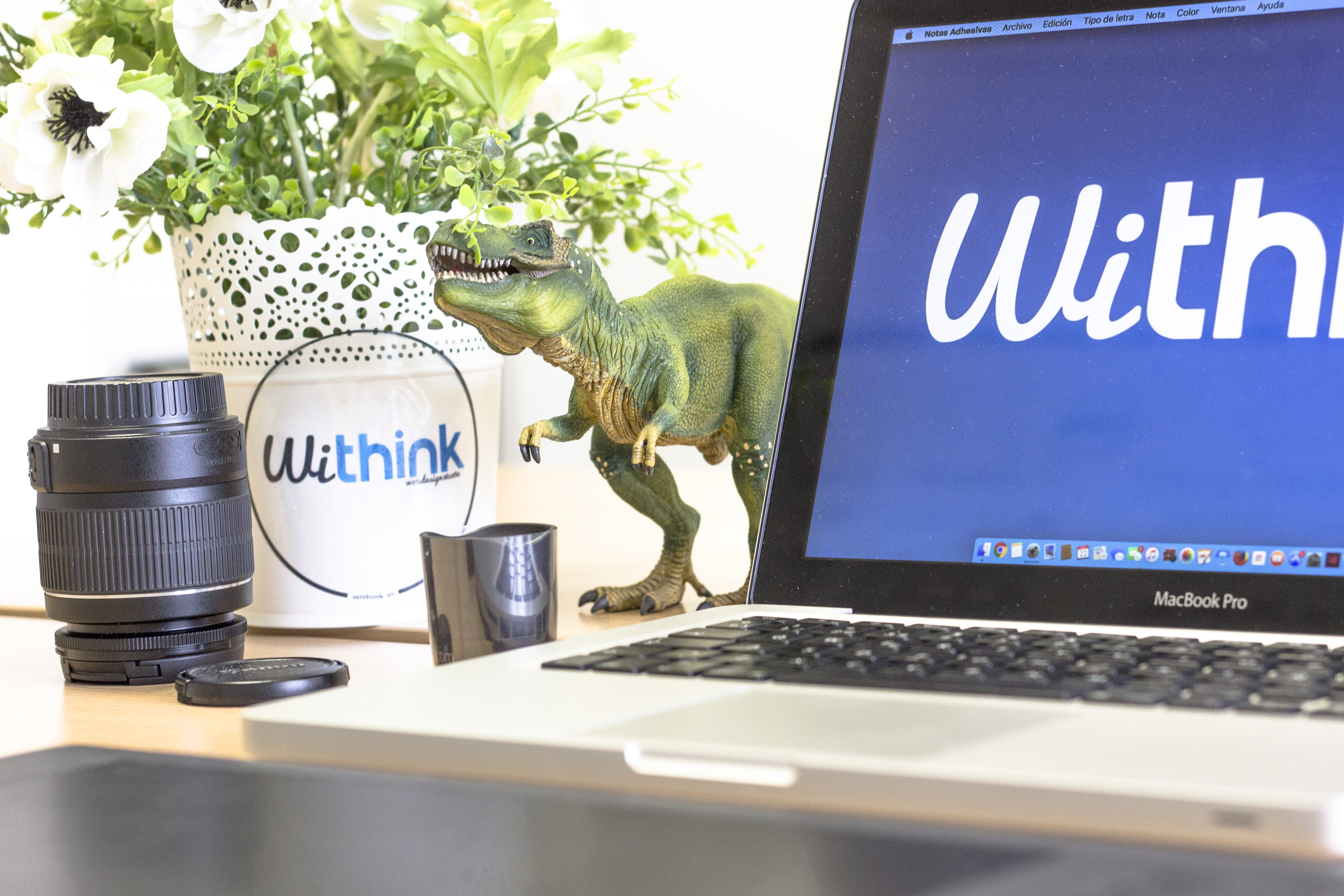 Galería de imágenes